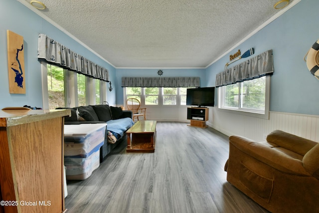 202 Lakeland Rd, Edinburg, NY 12835 - living room with a textured ceiling, wood finished floors, crown molding, and a wainscoted wall