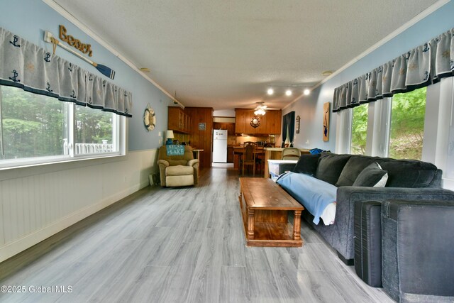 202 Lakeland Rd, Edinburg, NY 12835 - living room with crown molding, a textured ceiling, light wood-type flooring, and a ceiling fan