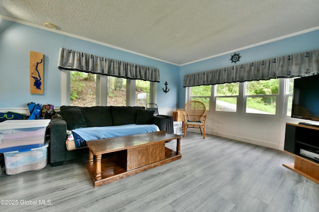 202 Lakeland Rd, Edinburg, NY 12835 - living area featuring a textured ceiling, crown molding, and wood finished floors
