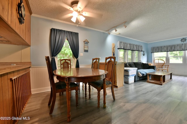 202 Lakeland Rd, Edinburg, NY 12835 - dining room featuring a textured ceiling, track lighting, wood finished floors, wainscoting, and a ceiling fan