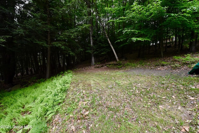 202 Lakeland Rd, Edinburg, NY 12835 - view of yard with a wooded view