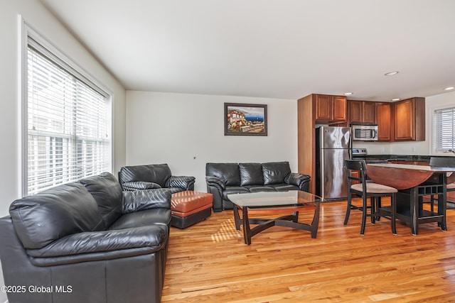 1112 Western Ave Unit 3, Albany, NY 12203 - living room featuring light wood-style floors and recessed lighting
