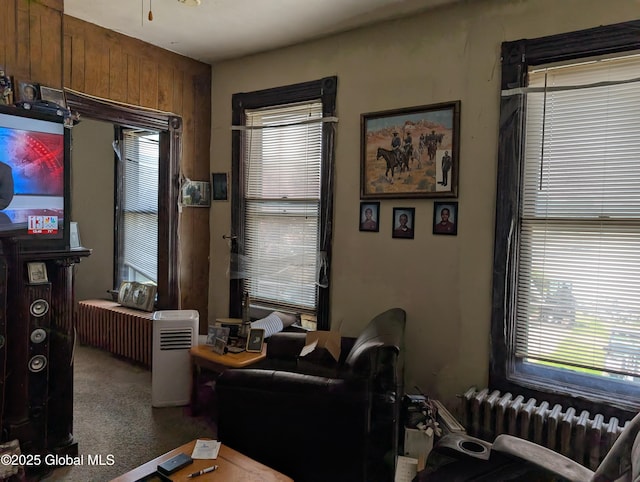 6 123rd St, Troy, NY 12182 - living room with radiator heating unit and carpet flooring