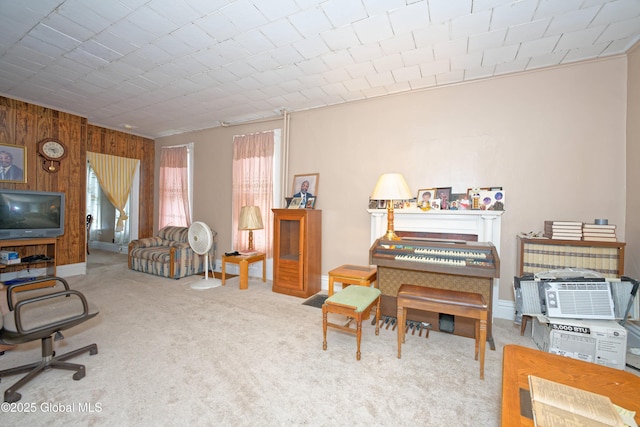 6 123rd St, Troy, NY 12182 - carpeted office space featuring wood walls and baseboards