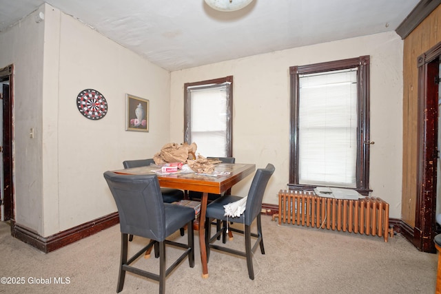 6 123rd St, Troy, NY 12182 - dining space featuring radiator and light carpet