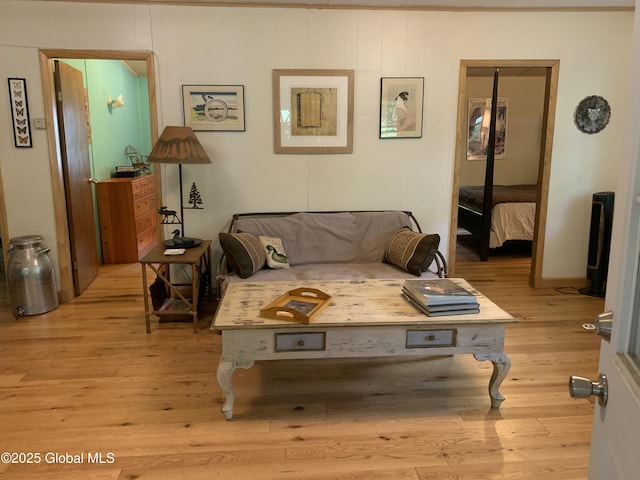 847 Lake Ave, Lake Luzerne, NY 12846 - living room featuring light wood finished floors