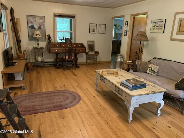 847 Lake Ave, Lake Luzerne, NY 12846 - living room featuring light wood-type flooring