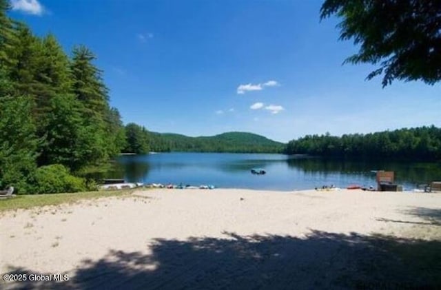 847 Lake Ave, Lake Luzerne, NY 12846 - water view with a forest