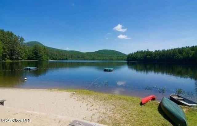 847 Lake Ave, Lake Luzerne, NY 12846 - water view featuring a heavily wooded area