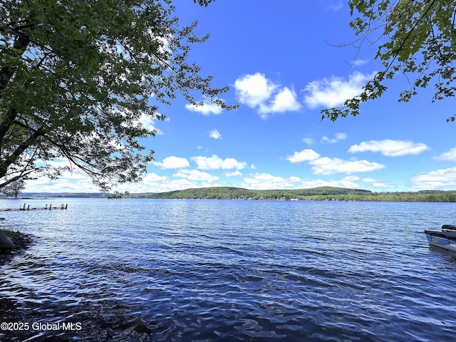2555 County Highway 22, Exeter, NY 13315 - water view