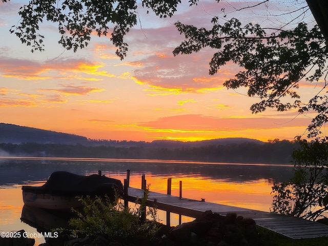 2555 County Highway 22, Exeter, NY 13315 - water view with mountains and a boat dock
