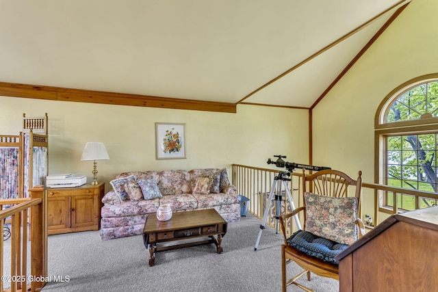 2555 County Highway 22, Exeter, NY 13315 - living area featuring carpet flooring and high vaulted ceiling