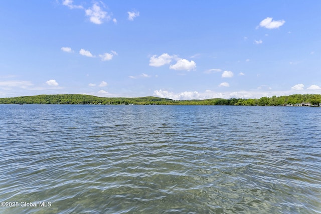 2555 County Highway 22, Exeter, NY 13315 - water view