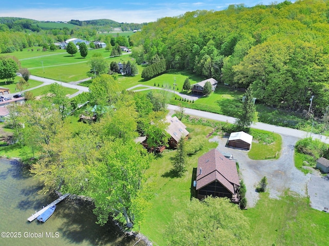 2555 County Highway 22, Exeter, NY 13315 - bird's eye view of a forest