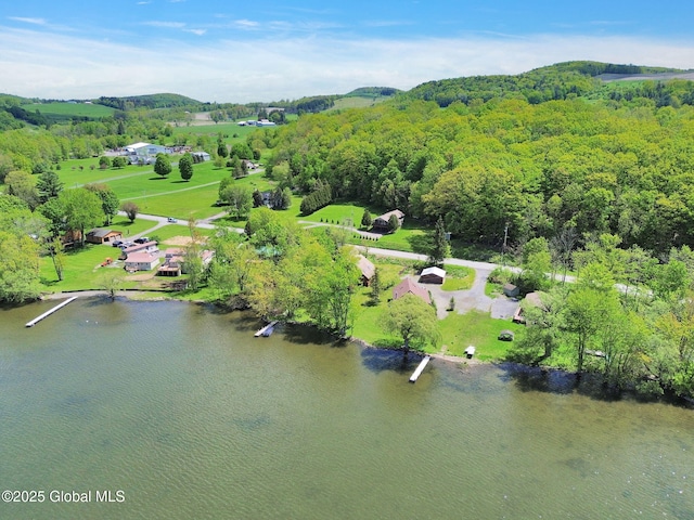 2555 County Highway 22, Exeter, NY 13315 - drone / aerial view of a nearby body of water and a heavily wooded area