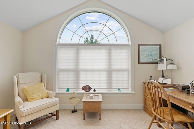 6 Rose Ct, Malta, NY 12019 - office area featuring lofted ceiling and light colored carpet