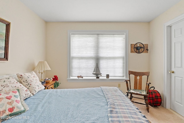 6 Rose Ct, Malta, NY 12019 - view of carpeted bedroom