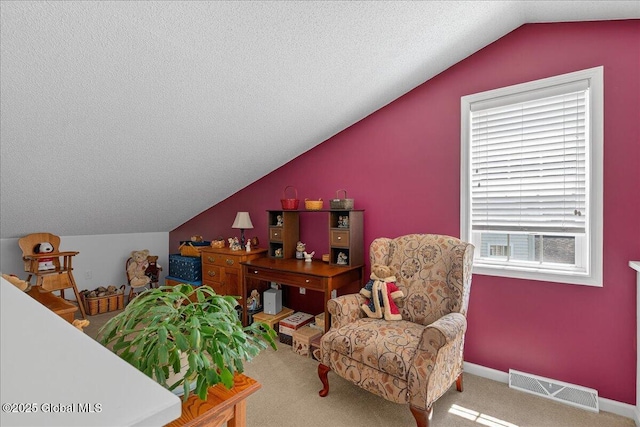 41A Raylinsky Ln, Halfmoon, NY 12118 - living area with lofted ceiling, carpet floors, and a textured ceiling