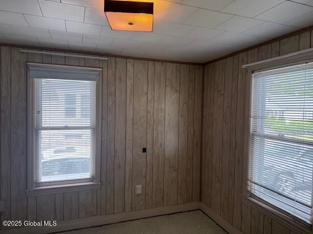 12 Birch Ave, Colonie, NY 12205 - unfurnished room featuring wood walls and carpet flooring