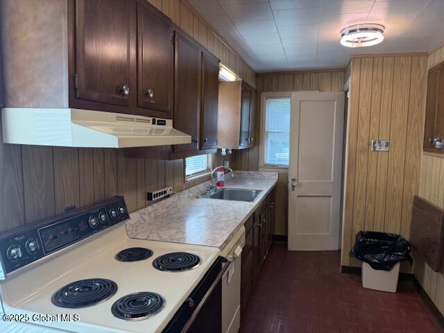 12 Birch Ave, Colonie, NY 12205 - kitchen featuring range with electric stovetop, under cabinet range hood, wood walls, light countertops, and dark brown cabinetry