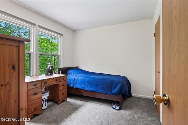 15 Iris Ave, Moreau, NY 12803 - bedroom with carpet and baseboards