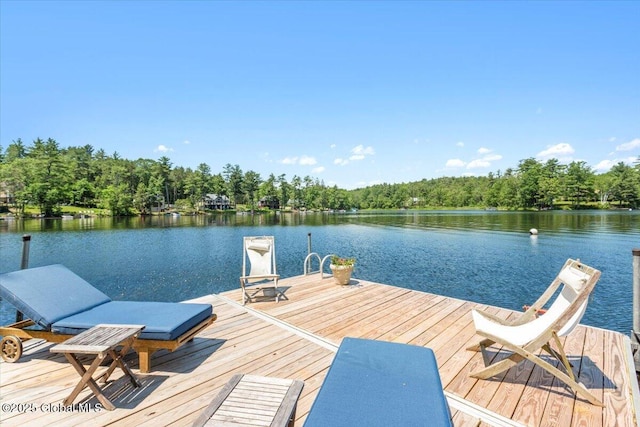 162 Methodist Farm Rd, Sand Lake, NY 12018 - dock with a water view