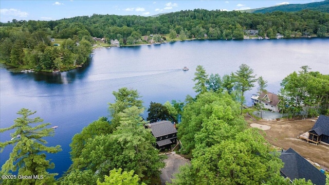 162 Methodist Farm Rd, Sand Lake, NY 12018 - bird's eye view of a nearby body of water and a heavily wooded area