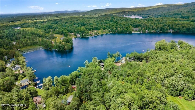 162 Methodist Farm Rd, Sand Lake, NY 12018 - aerial view of property's location featuring a heavily wooded area and a nearby body of water