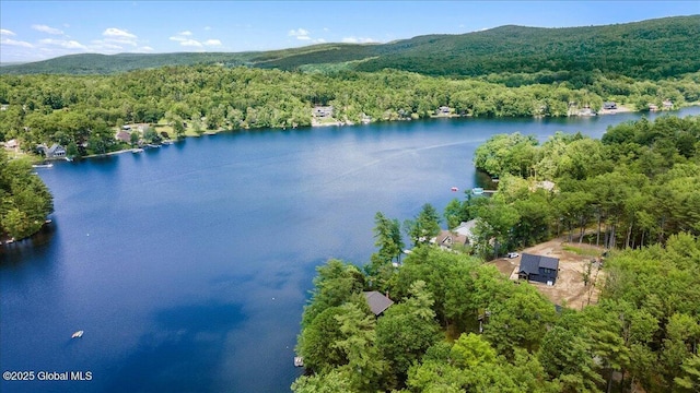 162 Methodist Farm Rd, Sand Lake, NY 12018 - drone / aerial view of a water and mountain view