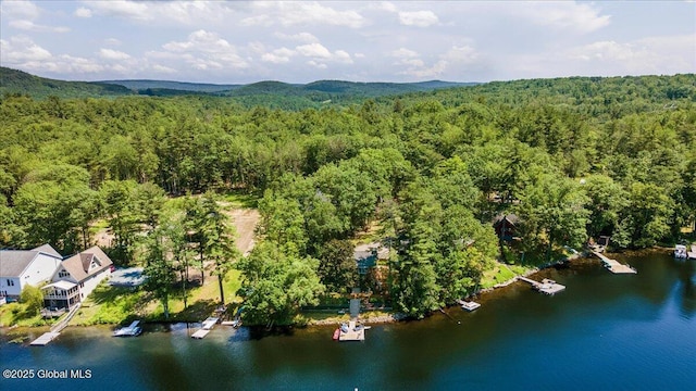 162 Methodist Farm Rd, Sand Lake, NY 12018 - bird's eye view of a heavily wooded area and a nearby body of water