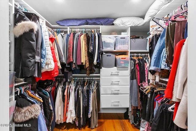 162 Methodist Farm Rd, Sand Lake, NY 12018 - walk in closet featuring wood finished floors