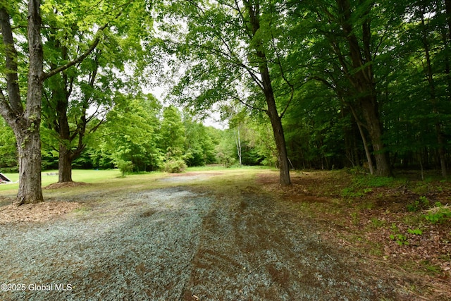 179 Plank Rd, Greenfield, NY 12859 - photo 41