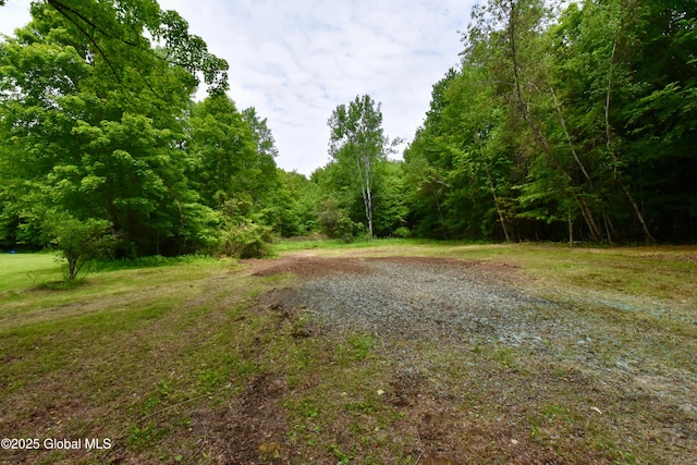 179 Plank Rd, Greenfield, NY 12859 - photo 42