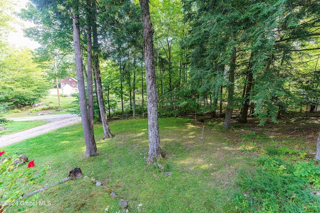 17 Oak Cir, Day, NY 12835 - view of green lawn with dirt driveway