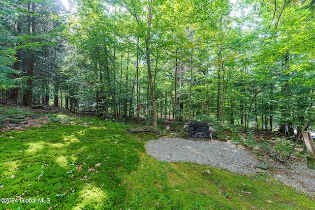 17 Oak Cir, Day, NY 12835 - view of grassy yard with a view of trees