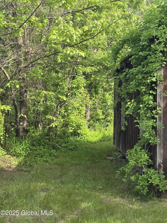 11 Main St, Queensbury, NY 12804 - view of local wilderness