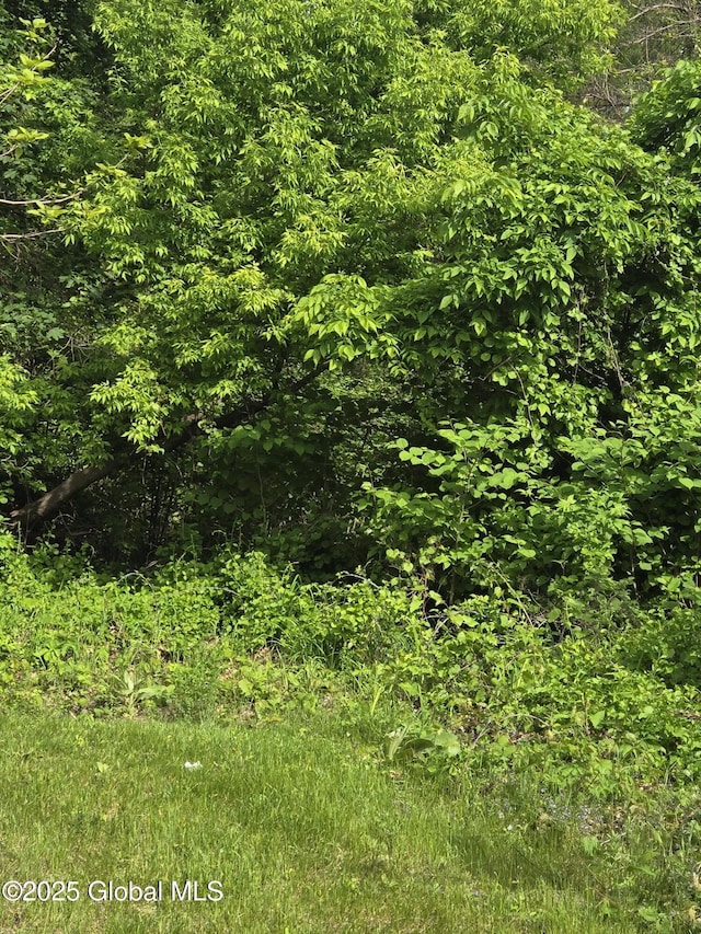 11 Main St, Queensbury, NY 12804 - view of local wilderness
