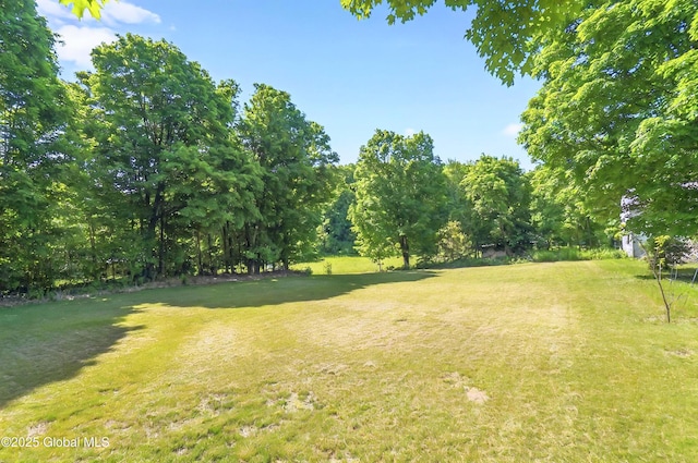 784 Ny Highway 351, Poestenkill, NY 12140 - view of grassy yard
