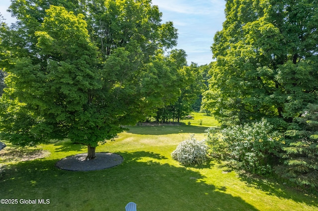 784 Ny Highway 351, Poestenkill, NY 12140 - view of grassy yard