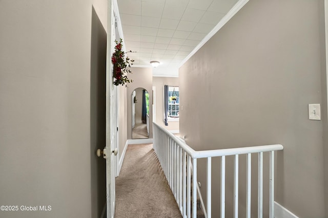 784 Ny Highway 351, Poestenkill, NY 12140 - hall with ornamental molding, carpet, baseboards, and arched walkways