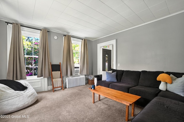 784 Ny Highway 351, Poestenkill, NY 12140 - carpeted living area with radiator heating unit and ornamental molding