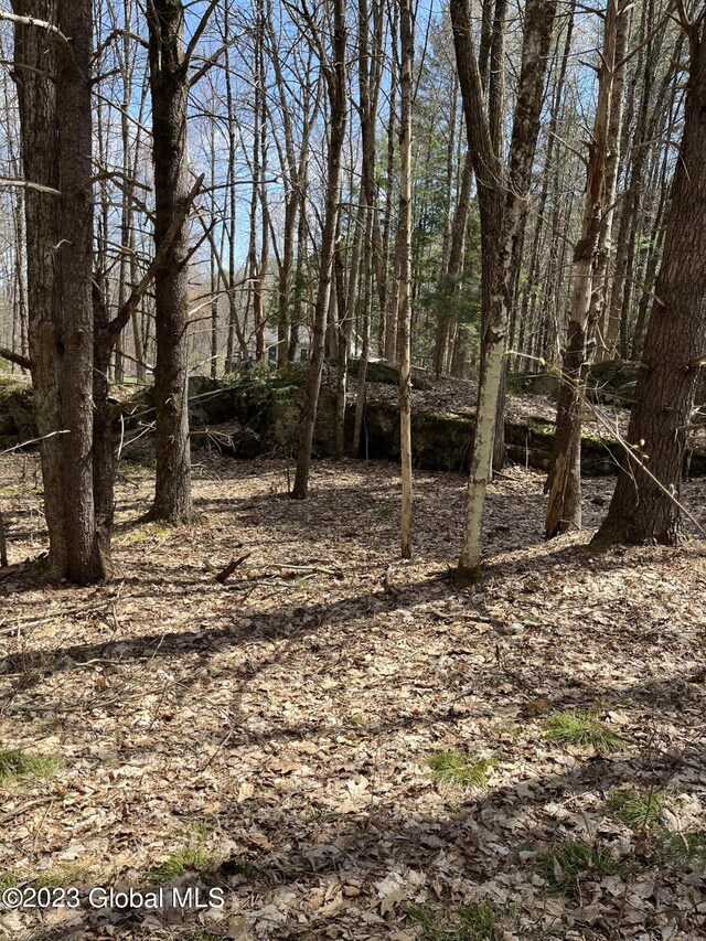 L64L24 Honeysuckle Dr, Granville, NY 12832 - photo 2