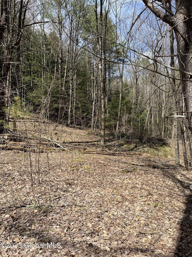 L64L24 Honeysuckle Dr, Granville, NY 12832 - photo 3