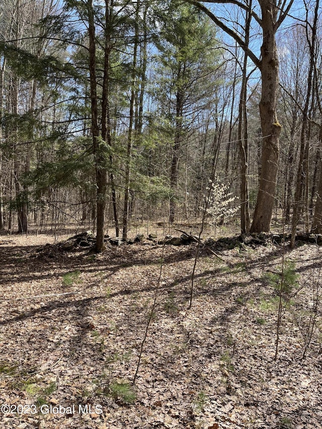L64L24 Honeysuckle Dr, Granville, NY 12832 - photo 6