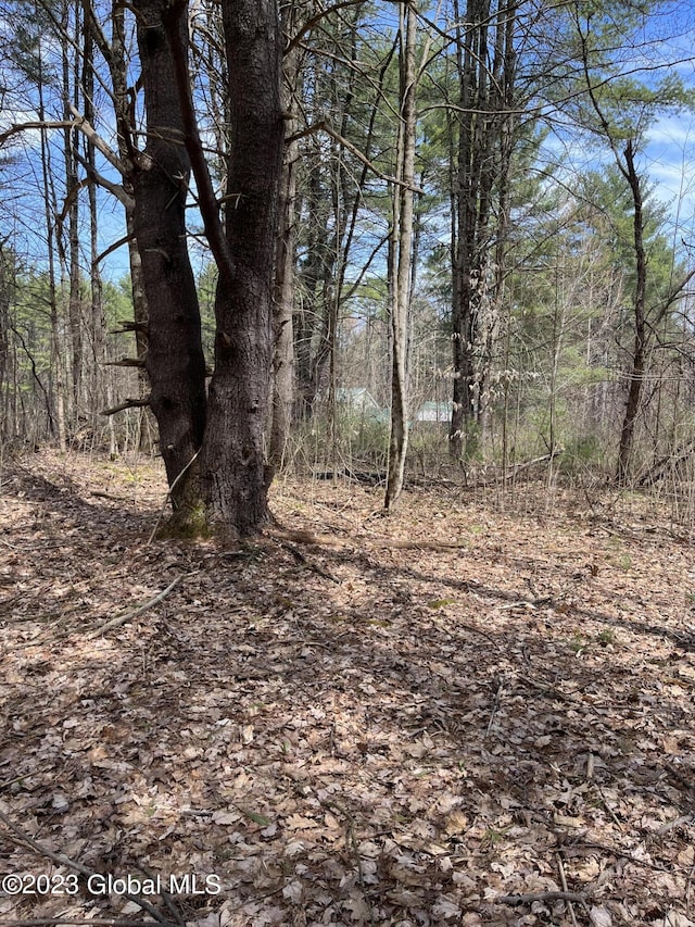 L64L24 Honeysuckle Dr, Granville, NY 12832 - photo 13