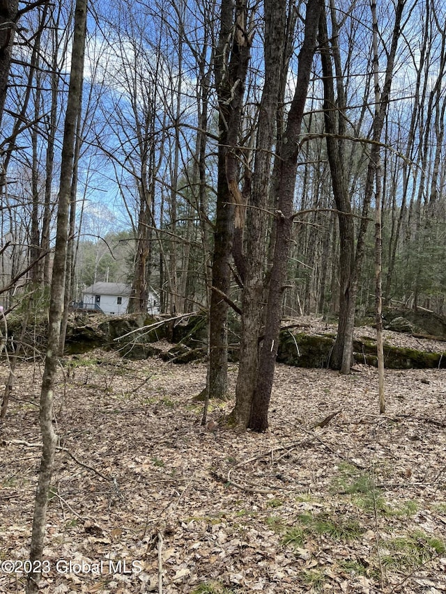 L64L24 Honeysuckle Dr, Granville, NY 12832 - photo 18
