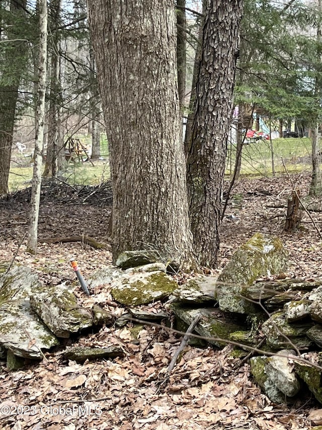 L64L24 Honeysuckle Dr, Granville, NY 12832 - photo 20