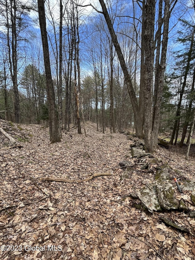 L64L24 Honeysuckle Dr, Granville, NY 12832 - photo 22