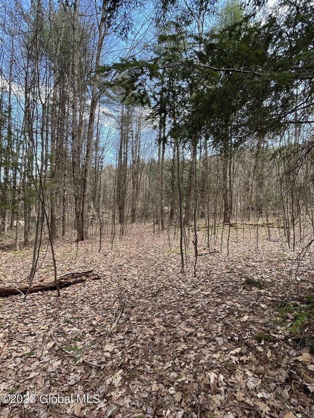 L64L24 Honeysuckle Dr, Granville, NY 12832 - photo 26