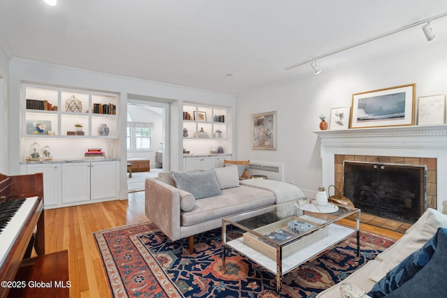 20 Darroch Rd, Bethlehem, NY 12054 - living room with rail lighting, light wood finished floors, radiator, crown molding, and a fireplace